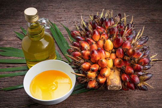 what-is-palm-oil-palm-oil-definition-uses-benefits-meaningdb