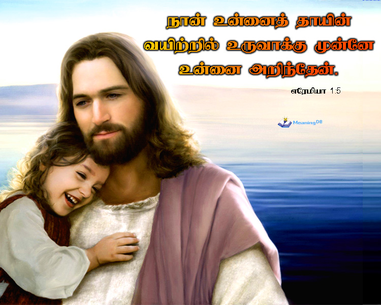 Powerful Bible Words In Tamil MeaningDB